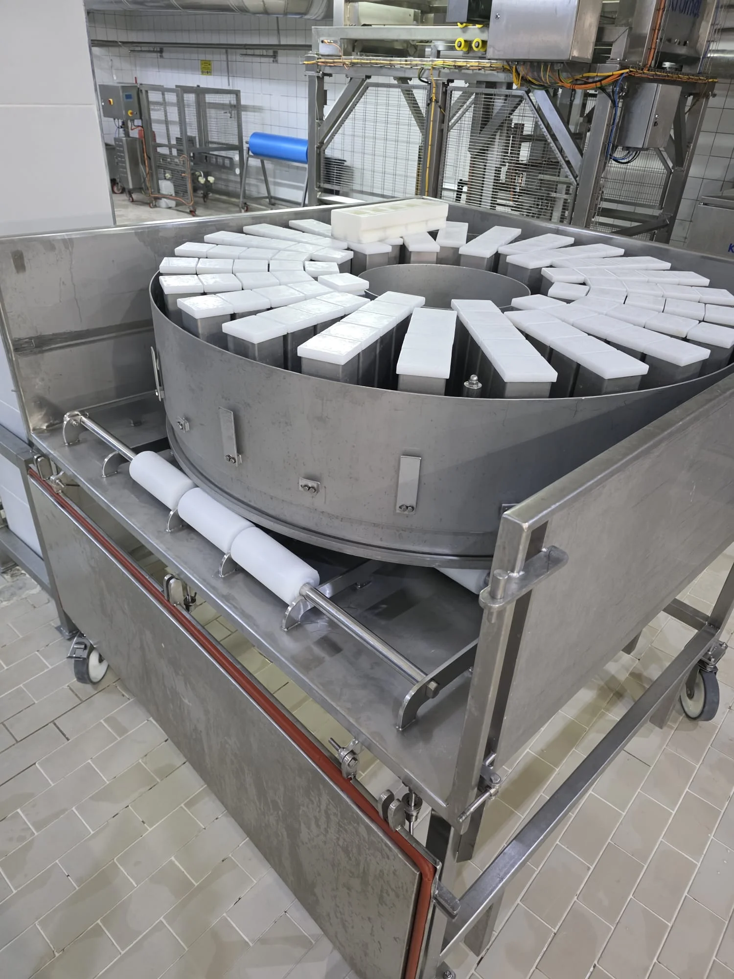 Rotary Molder — carousel with molded parallelepiped cheeses